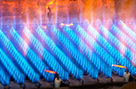 Finchdean gas fired boilers